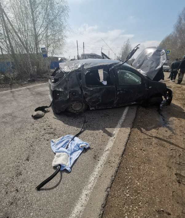 Хозяева сбитой в Объячево собаки выплатят 180 тысяч рублей водителю