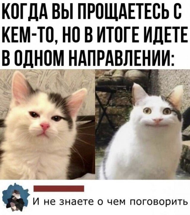 Картинки на вчера