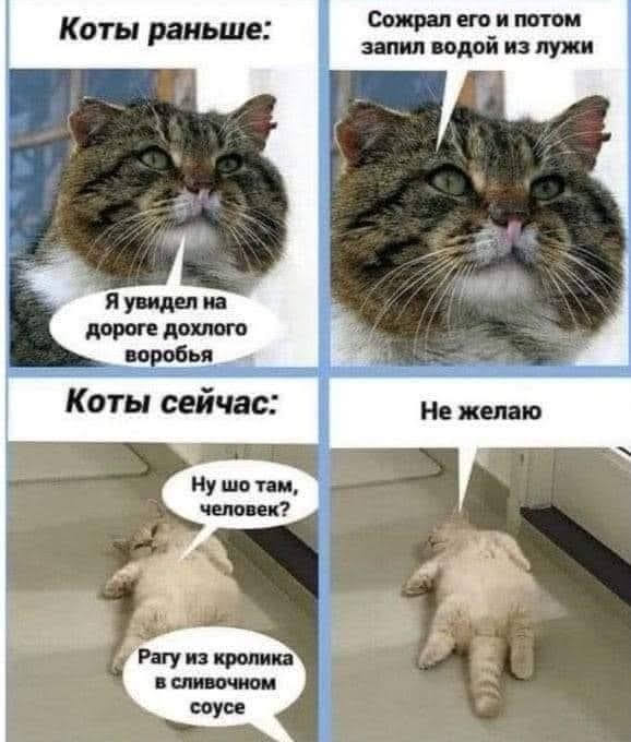 Всяческие картинки 16.06.2021