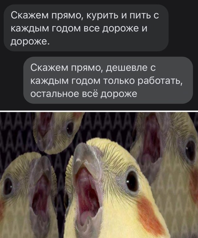 Алкопост 19.06.21