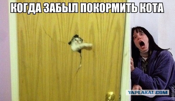 Картинки и мемы для настроения 02.08.2021