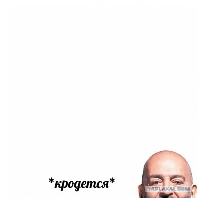 Картинки и мемы для настроения 04.08.2021