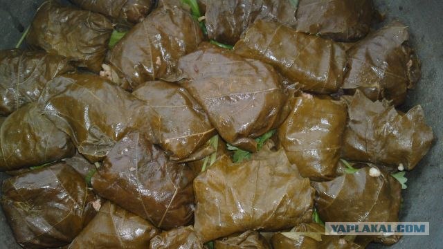 Долма с двуми начинками.