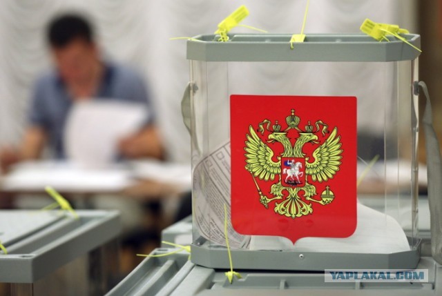 Выборы