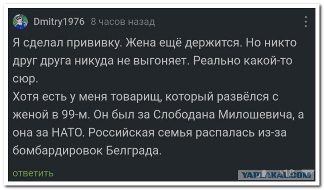 Забавные комментарии из социальных сетей (22.11.21)