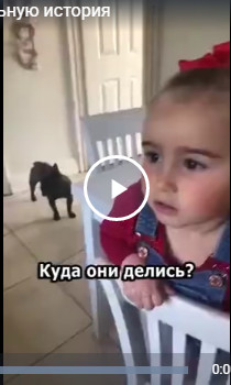 Кто съел все пирожные