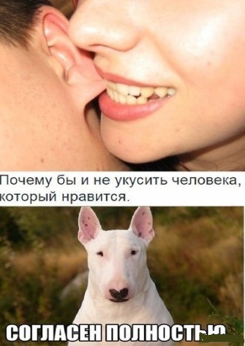 Подеградируем, побаяним...