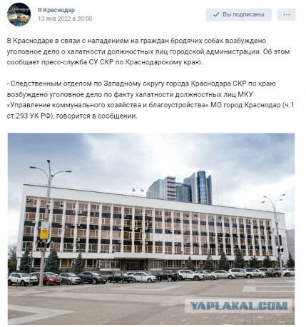 «Собаки содрали с женщины скальп, отгрызли ей кисти рук». За гибель пермячки будут судить чиновницу