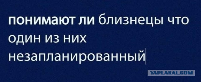 Всяческие картинки 17.01.2022