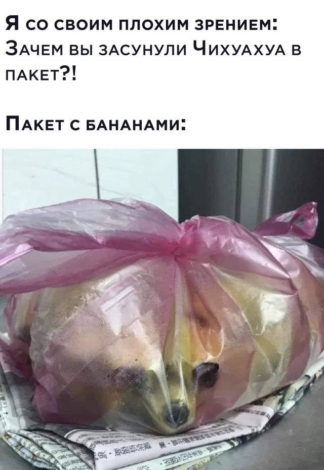 Пятница. И немного слегка пошлых картинок с надписями и без 16+ (18.02)