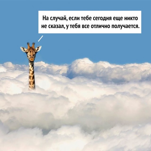Картинки и мемы для настроения - 27