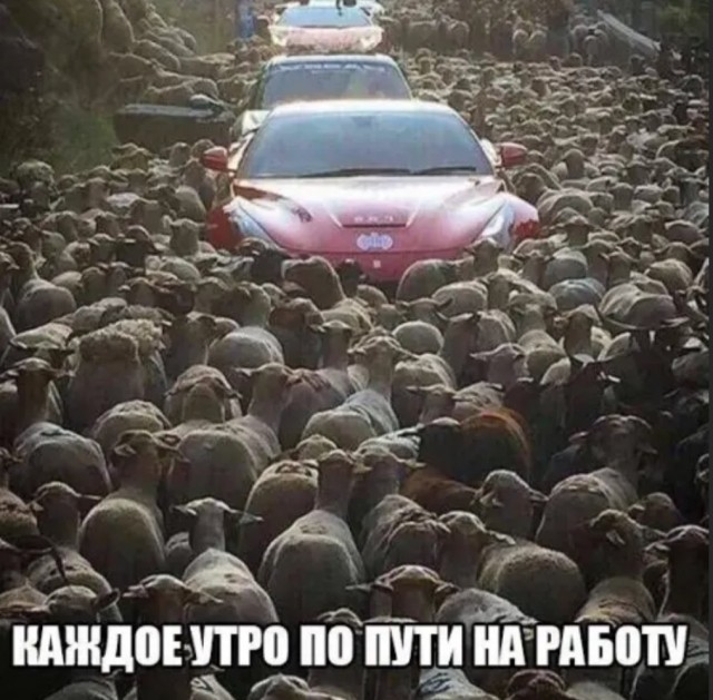 Картинки и мемы, начало праздников