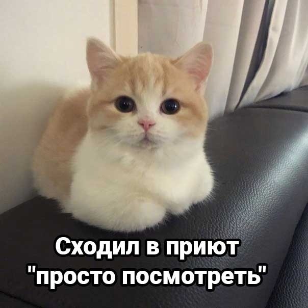 Картинки, приколы, мемы на выходные