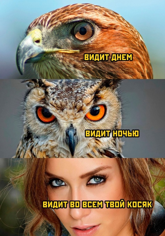 Картинки и мемы для настроения - 23