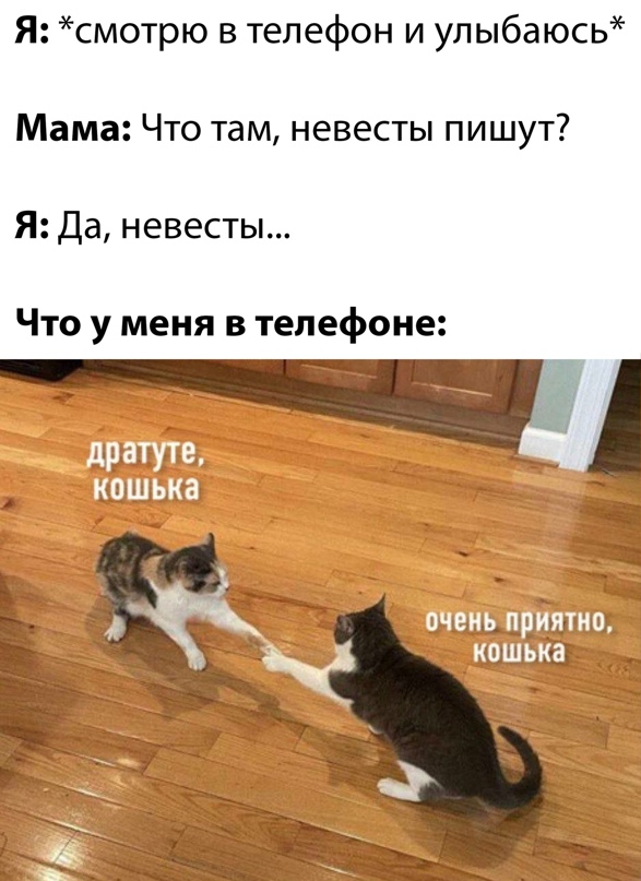 Картинки и мемы для настроения - 15