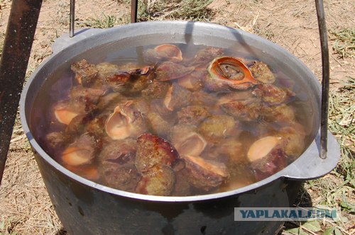 Мыс Тарханкут - самая западная точка Крыма.