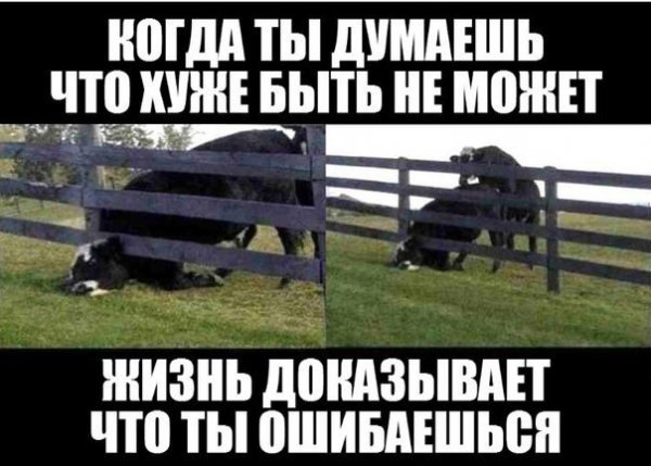 Немного мемчиков. Для взрослых. Часть 16