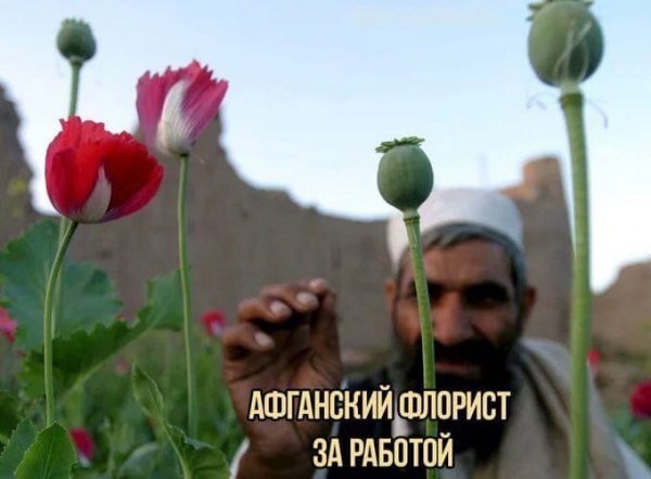 Немного картинок для настроения - 127