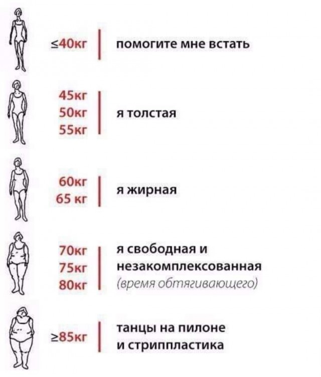 Весёлый полтишок 21.12.2022