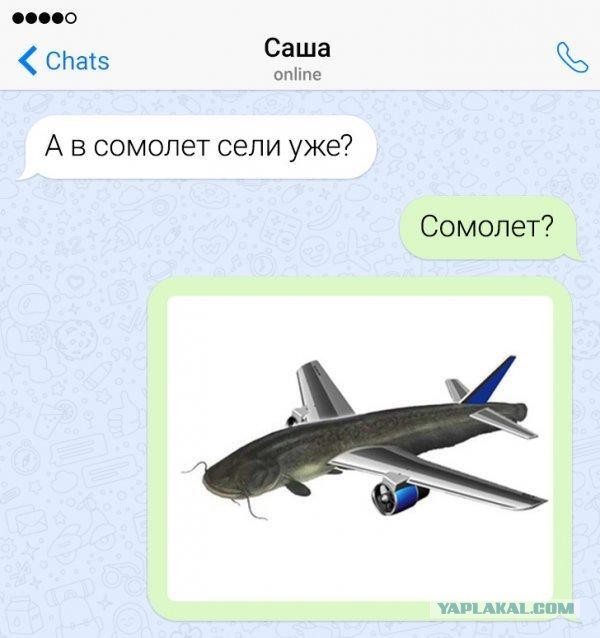 Африканский клариевый сом: Водоплавающий суперсолдат. Живёт без воды двое суток и адаптируется даже к самым жёстким условиям