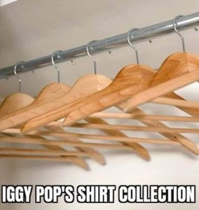 Музыка и музыканты: Iggy Pop «Every Loser»
