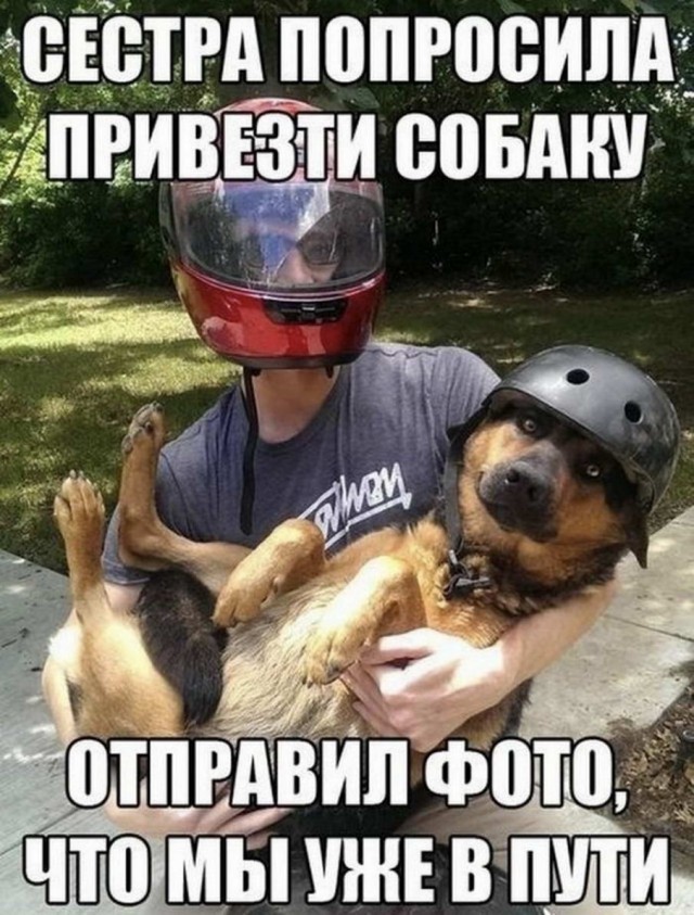 Немного картинок для настроения - 161
