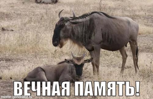 Спите спокойно, Герои!
