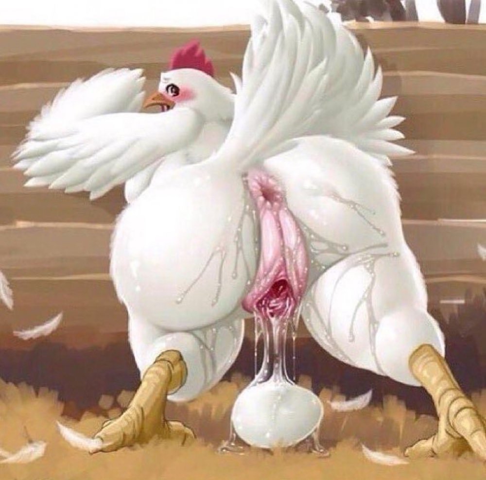 Guy fucks chicken