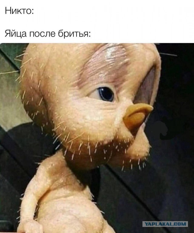 Всего понемногу. От 19.10.23