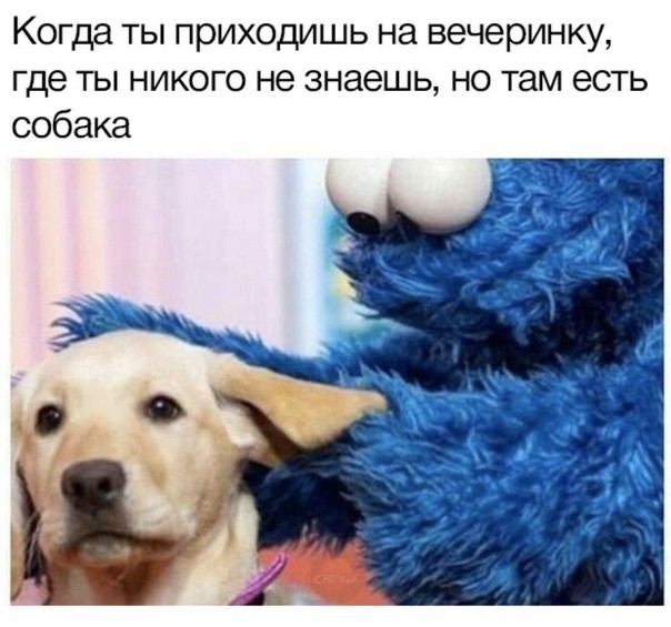 Всего понемногу. От 19.01.24
