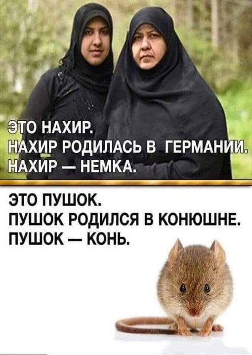 На шаг впереди