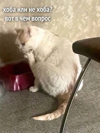 Так себе картинки 31.05.24