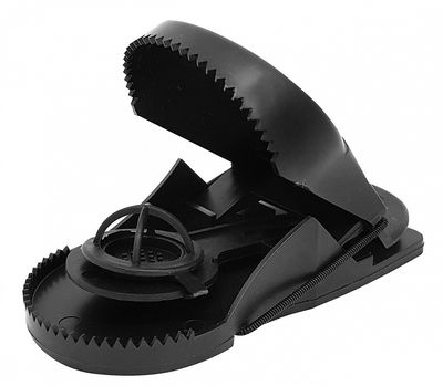 Они эволюционируют!