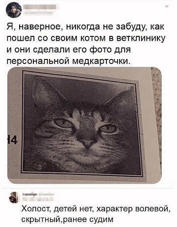 Веселые картинки в маленькую пятницу (12.03)