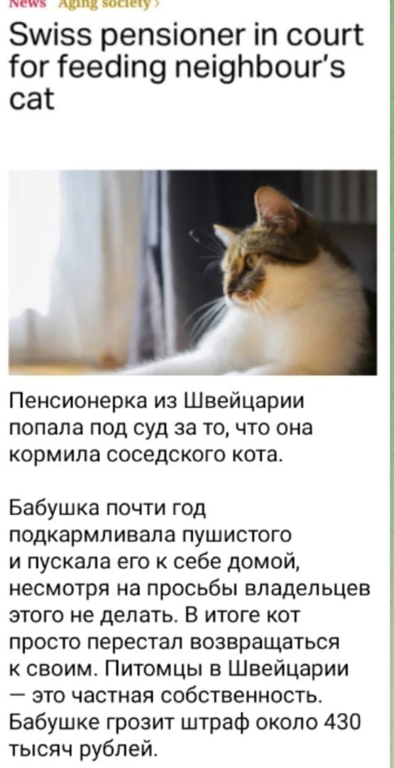 Так себе картинки 12.05.25