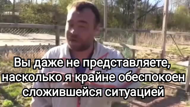Таможня Финляндии: Закрытая граница с РФ ведет к издержкам и кадровым дилеммам