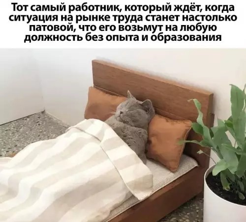 Воскресные картинки