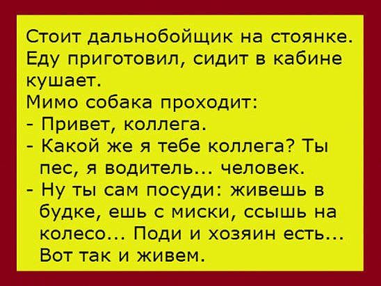 Платят много, а не идут. Дефицит дальньнобойщиков усиливается