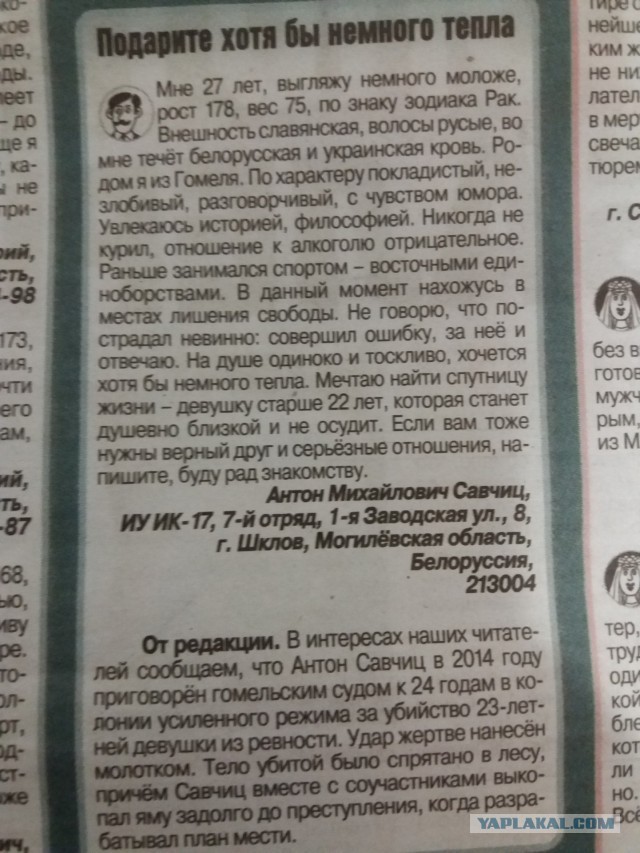 Российским мужчинам предлагают стать ждулями