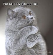 Бесплатный проезд и грелка