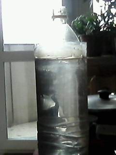 Пропал кот...