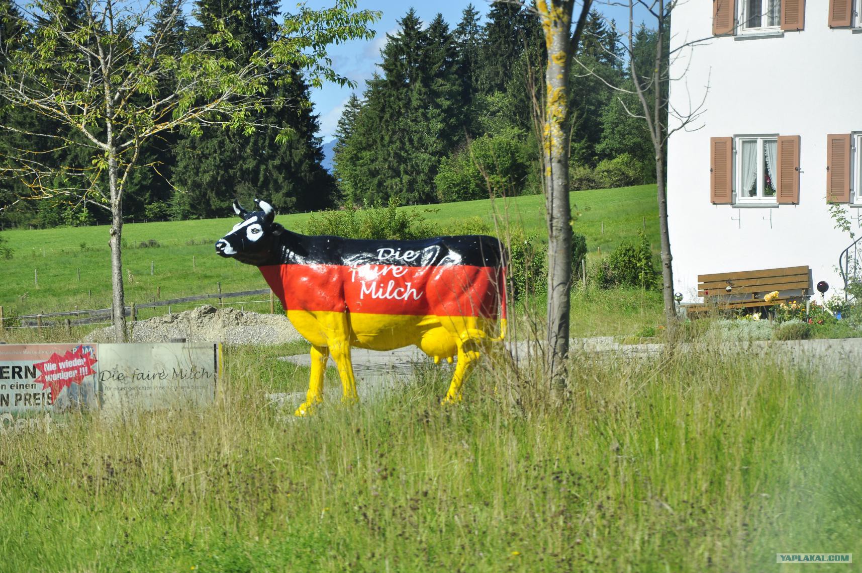 В гостях у немецкого фермера гибель стереотипа ЯПлакалъ