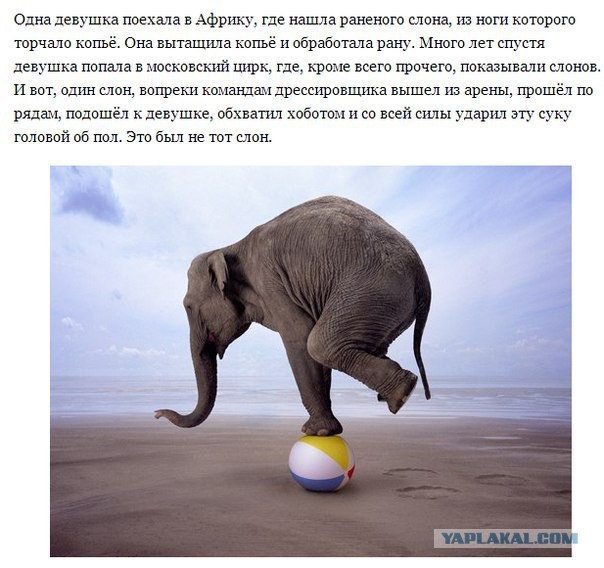 Легкой наркомании пост
