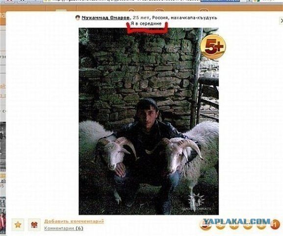 Веселые картинки? а так же комментарии)