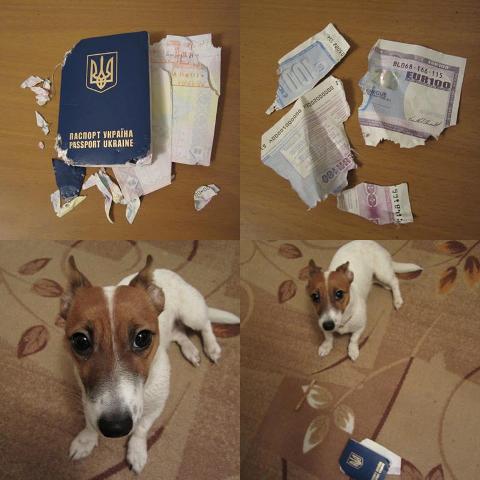 Порвал Украинский паспорт получив Российский