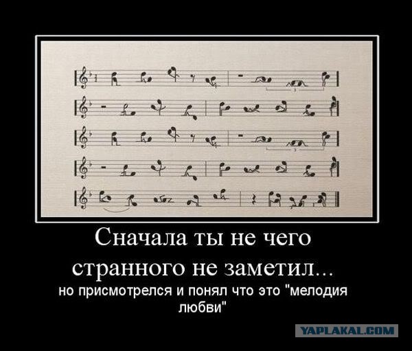 Грамматнасть и нтилехт вконтактовских обитателей