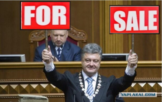 Пожабим порошка?