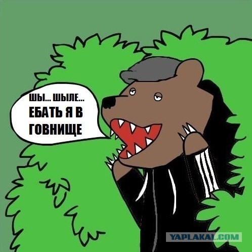 Медведи почти на все случаи жизни