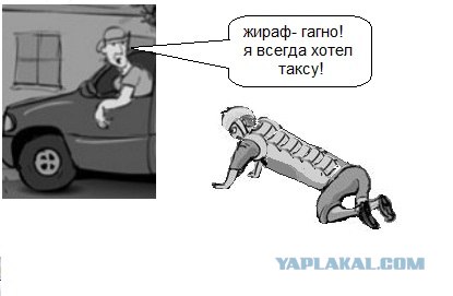 Невообразимая любовь к животным