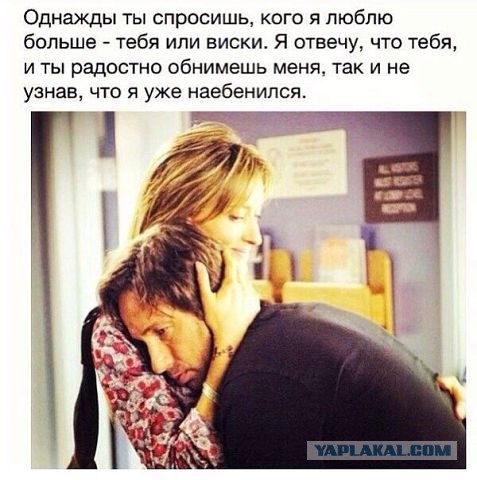 Подборка веселых картинок